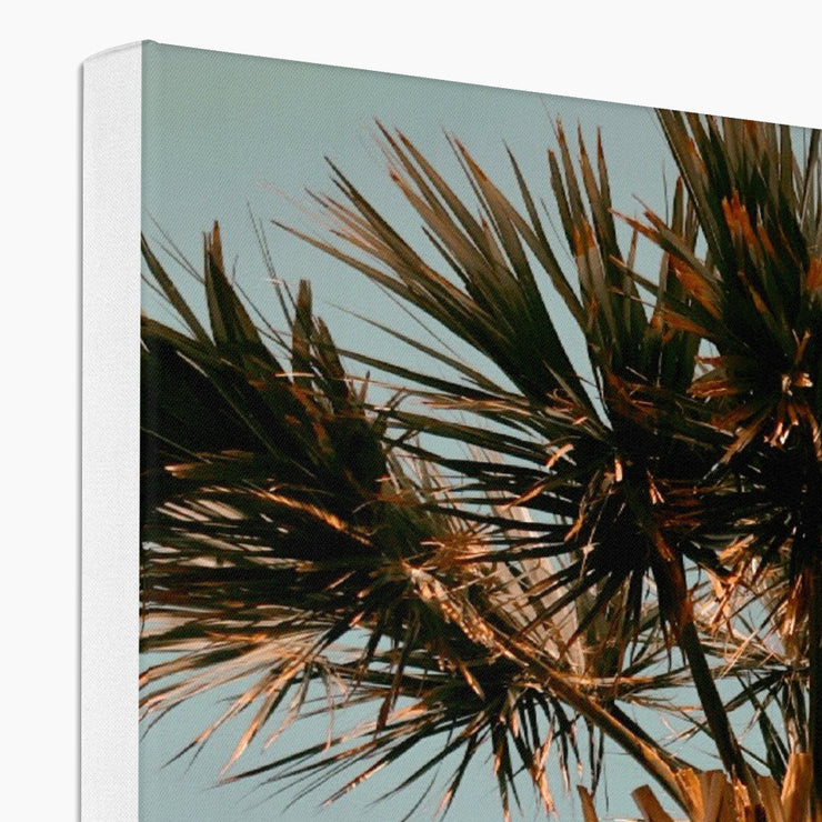 Palm Tree E1 Canvas