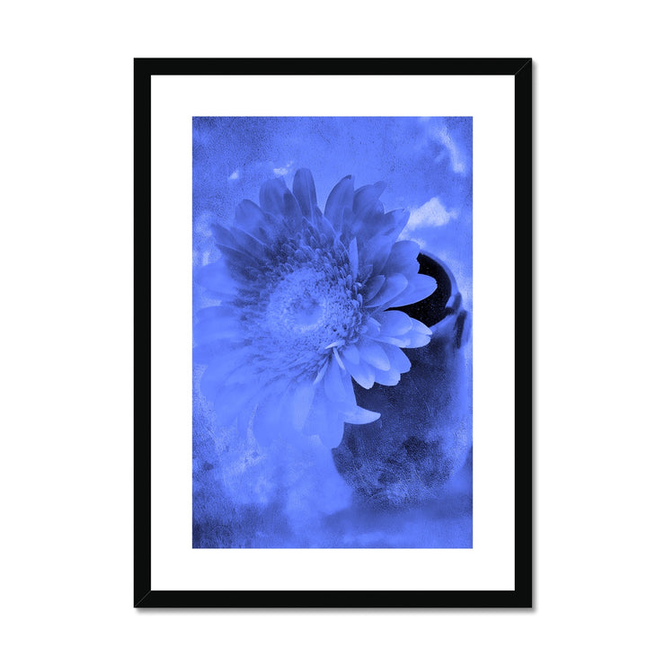 Gerbera A3 Framed & Mounted Print