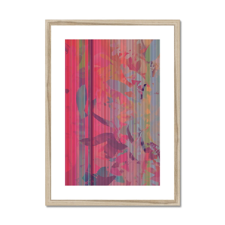 Leaves D1 Framed & Mounted Print