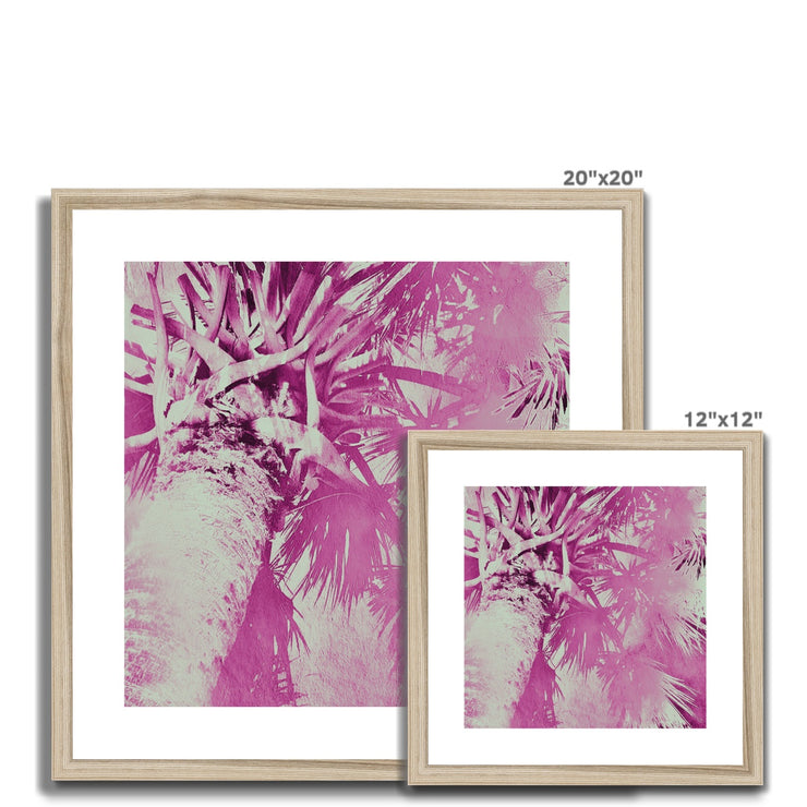 Palm Tree B5 Framed & Mounted Print