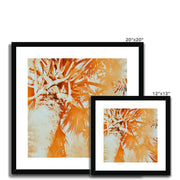 Palm Tree B1 Framed & Mounted Print