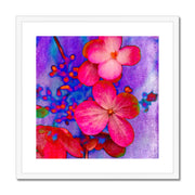 Hydrangea B1 Framed & Mounted Print