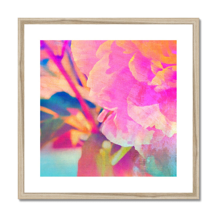 Peony A3 Framed & Mounted Print