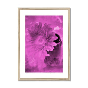 Gerbera A4 Framed & Mounted Print