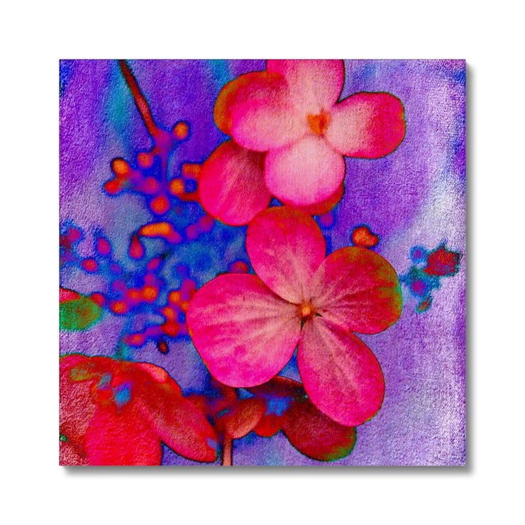 Hydrangea B1 Canvas