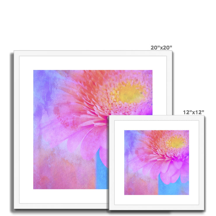 Gerbera B1 Framed & Mounted Print