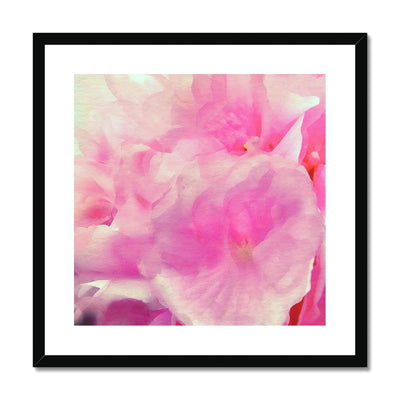 Hydrangea C2 Framed & Mounted Print