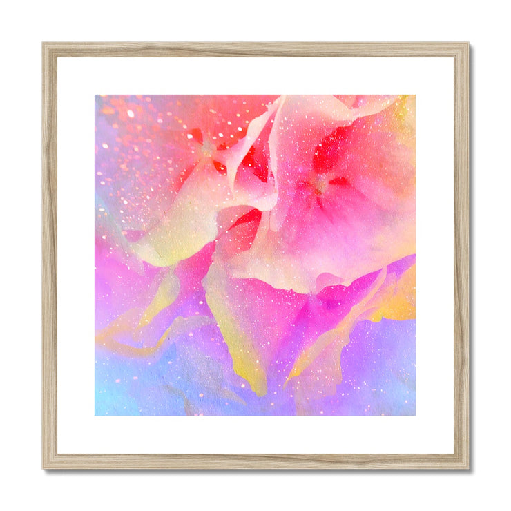 Hydrangea A3 Framed & Mounted Print