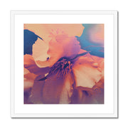 White Phoenix C2 Framed & Mounted Print