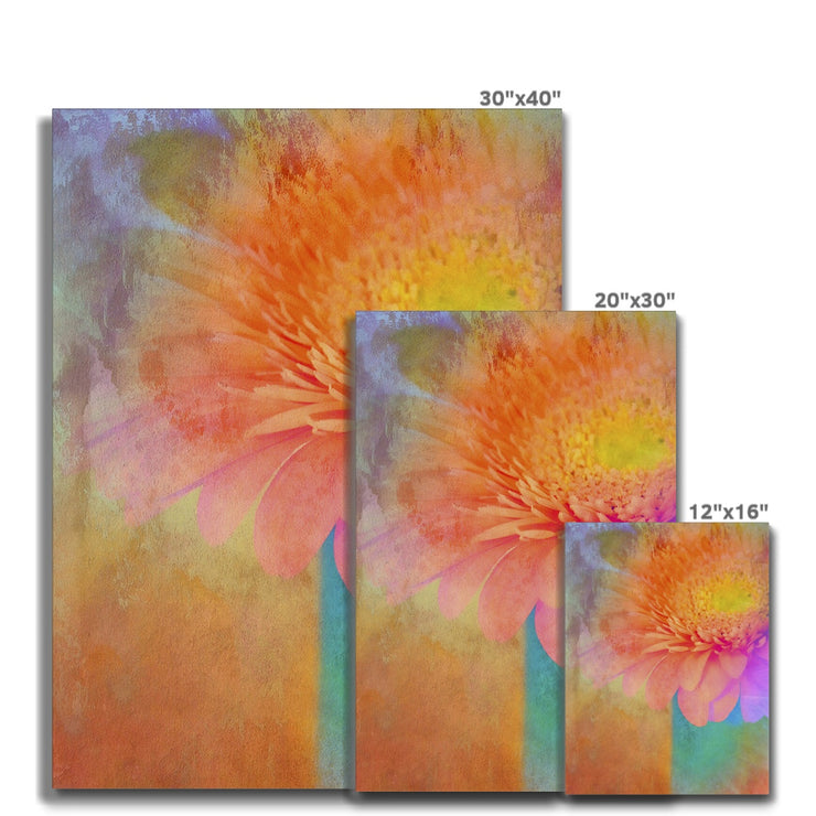 Gerbera B2 Canvas