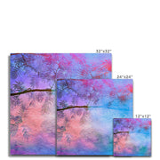 Albizia Tree B1 Canvas