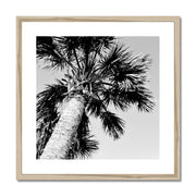 Palm Tree E2 Framed & Mounted Print