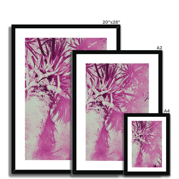 Palm Tree B5 Framed & Mounted Print