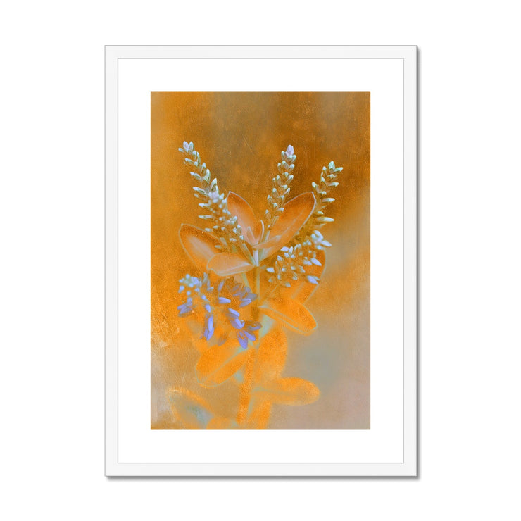 Lilac A1 Framed & Mounted Print