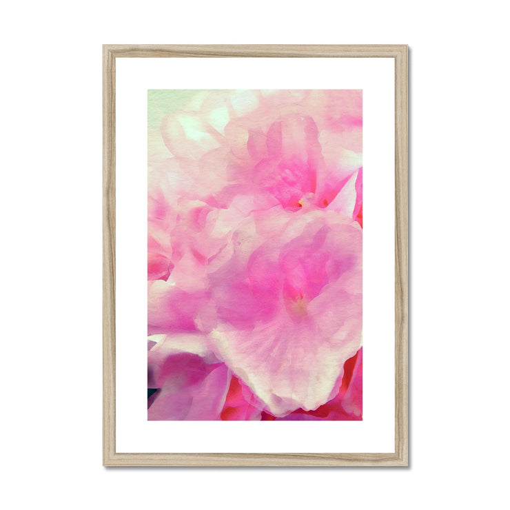 Hydrangea C2 Framed & Mounted Print