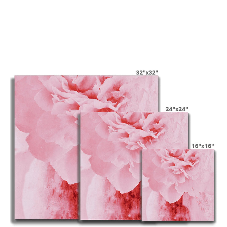 Peony G4 Canvas