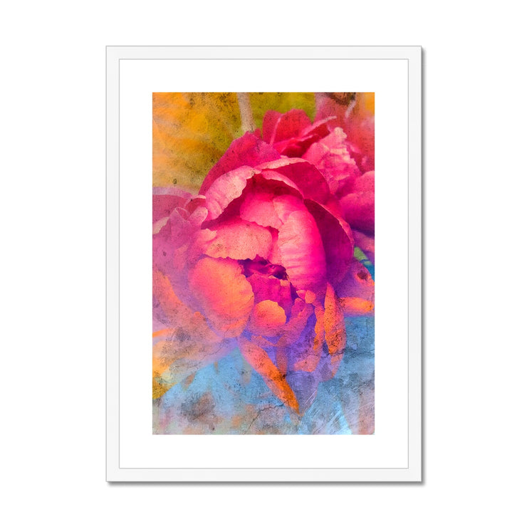 Peony E1 Framed & Mounted Print