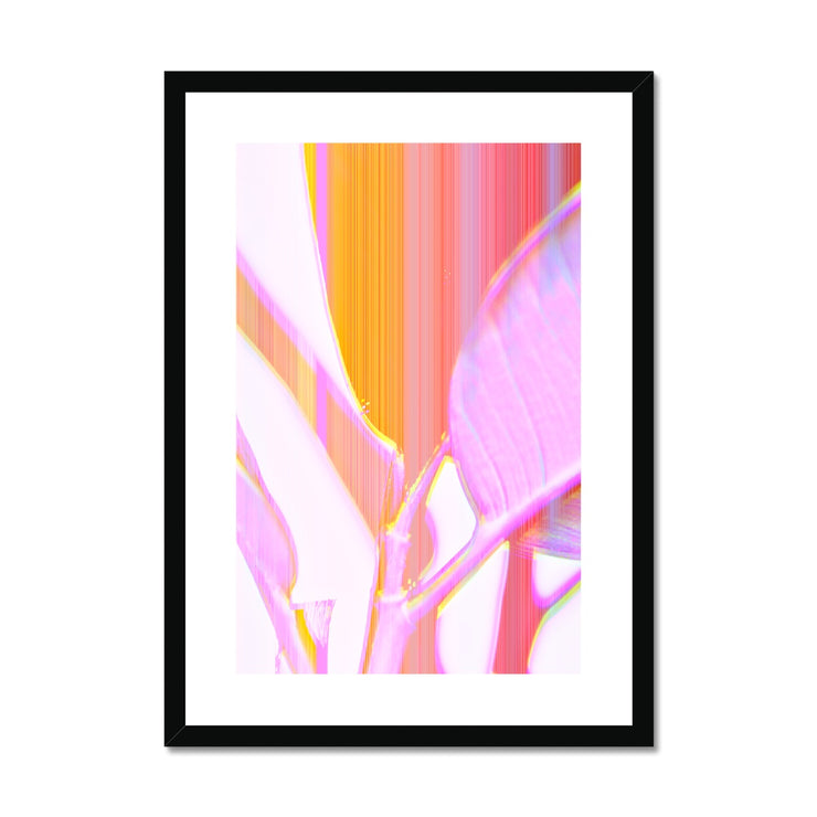 Rubber Tree A2 Framed & Mounted Print