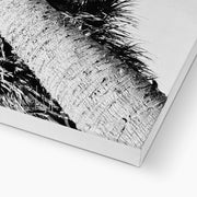 Palm Tree E2 Canvas