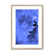 Gerbera A3 Framed & Mounted Print