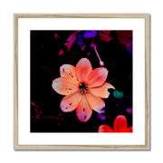 Garden Flower A1 Framed & Mounted Print