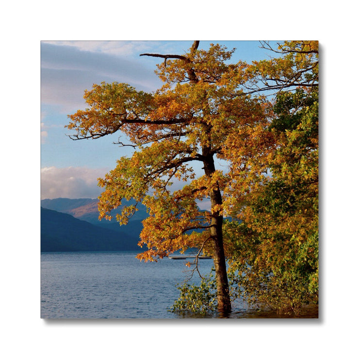 Loch Lomond B1 Canvas