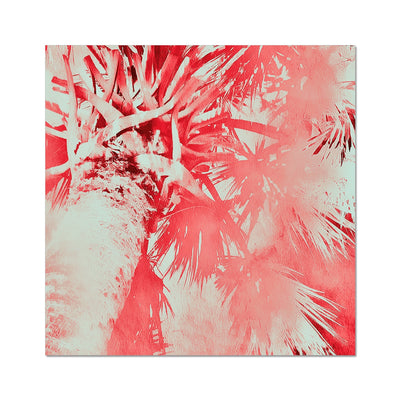 Palm Tree B6 Hahnemühle Photo Rag Print