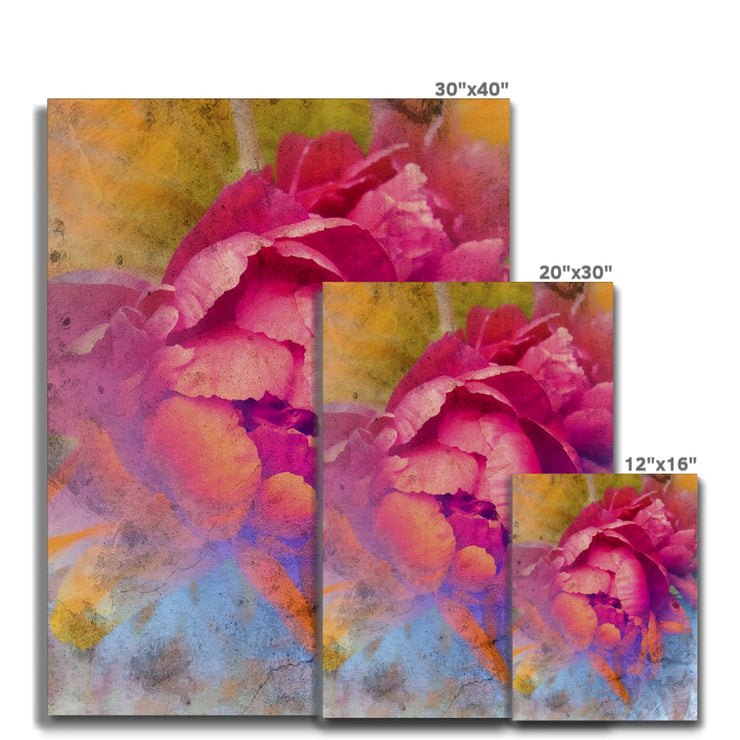 Peony E1 Canvas