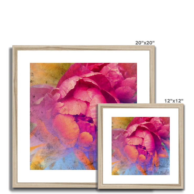 Peony E1 Framed & Mounted Print