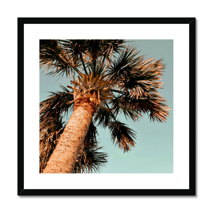 Palm Tree E1 Framed & Mounted Print