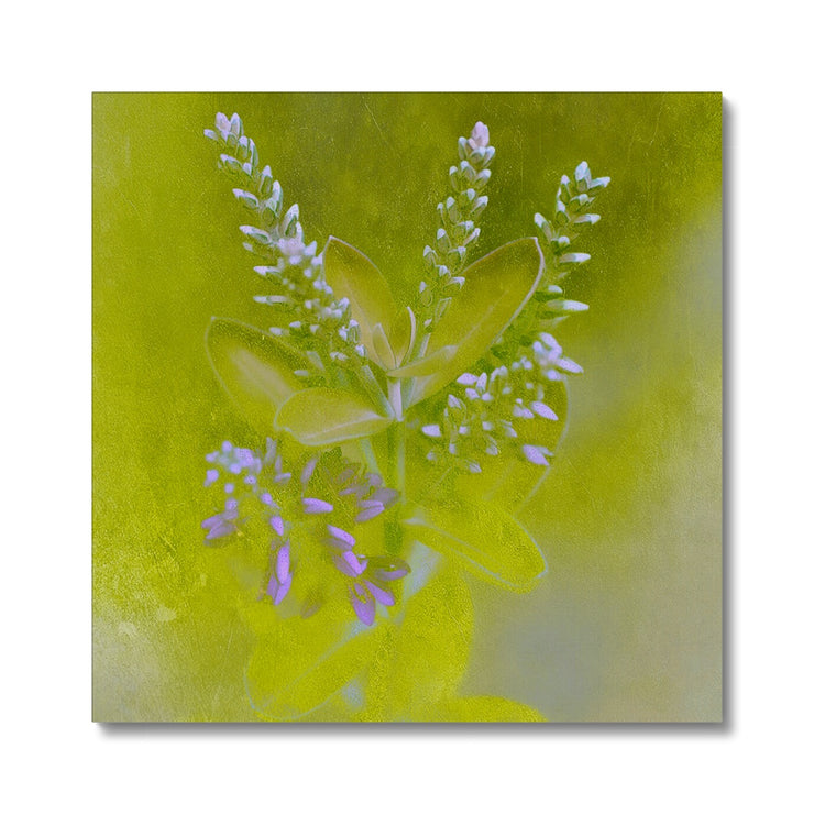 Lilac A5 Canvas