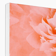 Peony G3 Canvas