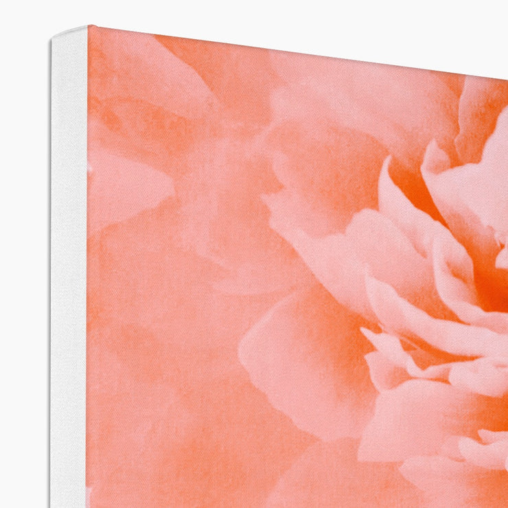 Peony G3 Canvas