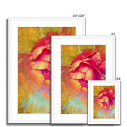 Peony E2 Framed & Mounted Print