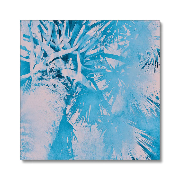 Palm Tree B7 Canvas