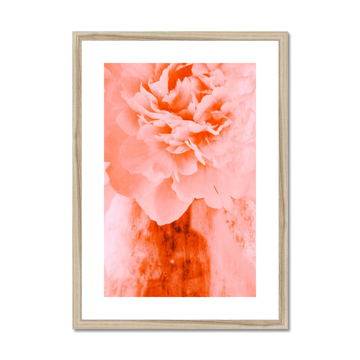 Peony G3 Framed & Mounted Print