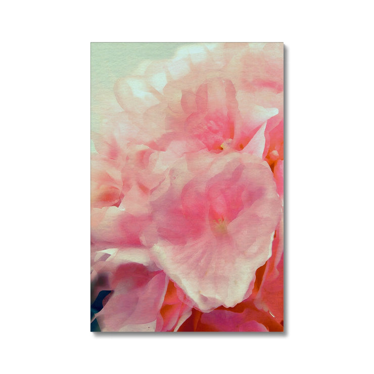 Hydrangea C1 Canvas