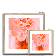 Peony G3 Framed & Mounted Print