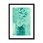 Peony G5 Framed & Mounted Print