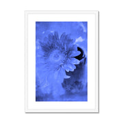 Gerbera A3 Framed & Mounted Print