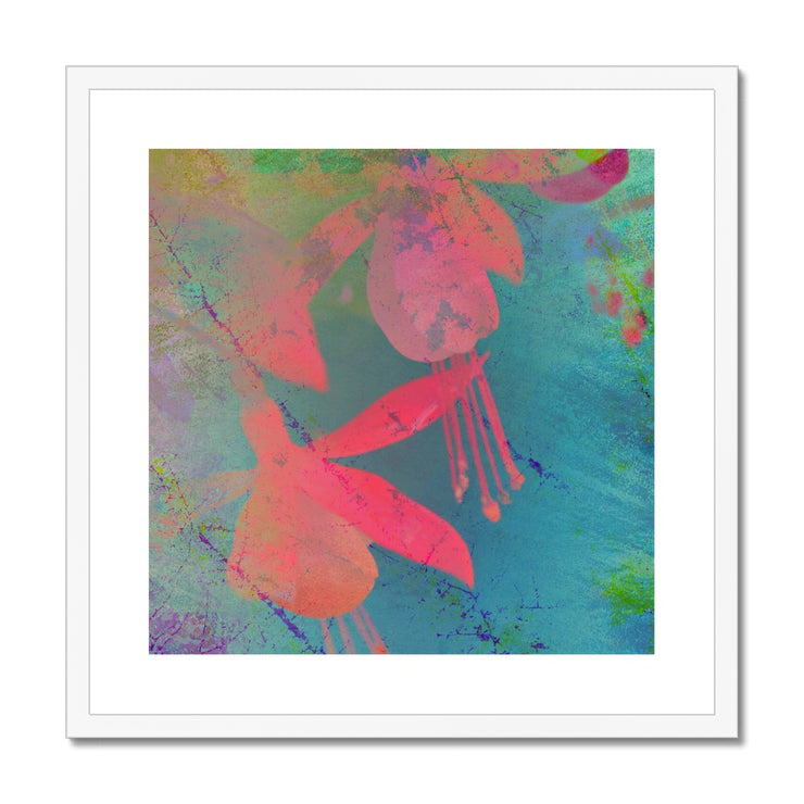 Fuchsias B1 Framed & Mounted Print