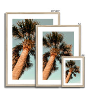 Palm Tree E1 Framed & Mounted Print