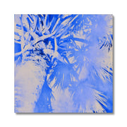 Palm Tree B4 Canvas