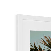 Palm Tree E1 Framed & Mounted Print