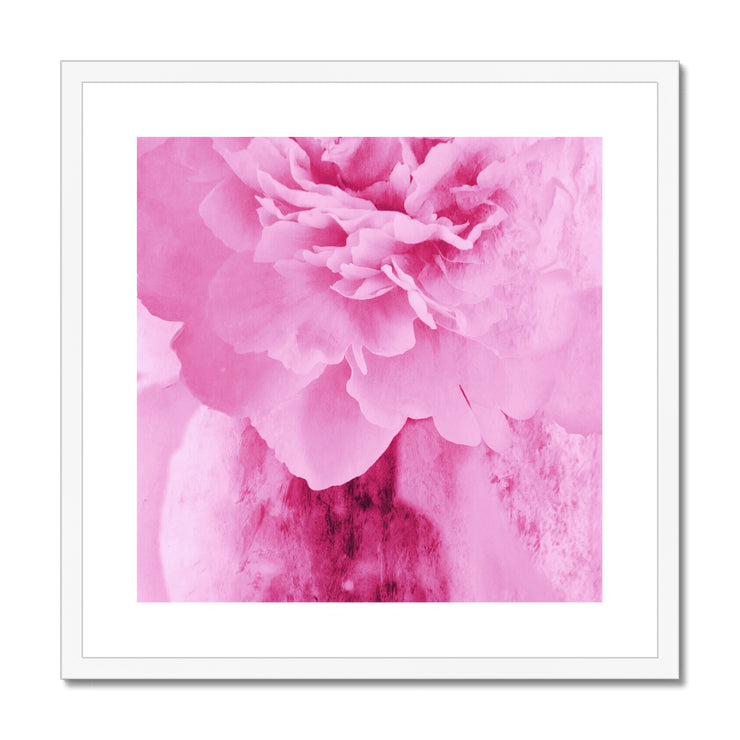 Peony G6 Framed & Mounted Print