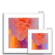 Peony G1 Framed & Mounted Print