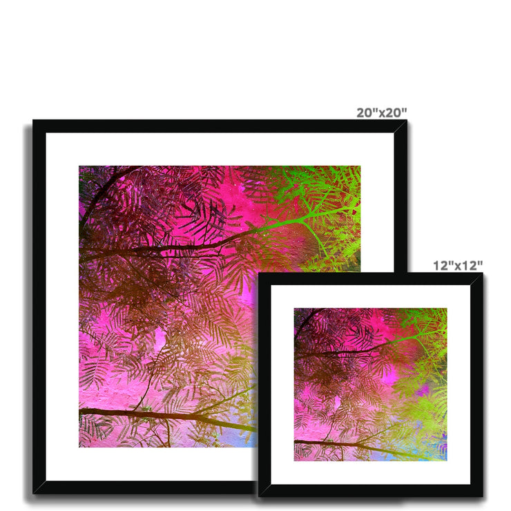 Albizia Tree A10 Framed & Mounted Print