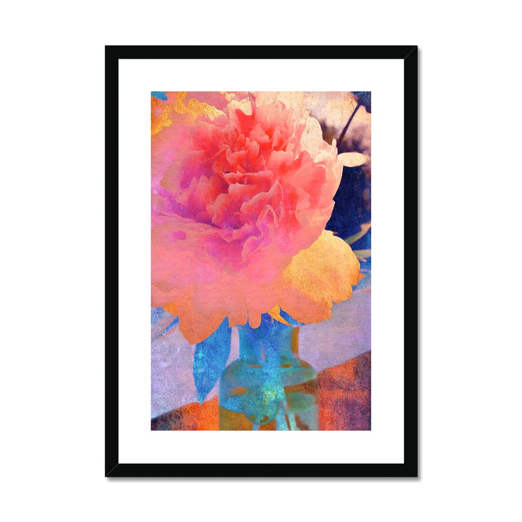 Peony F1 Framed & Mounted Print