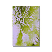 Palm Tree B2 Canvas