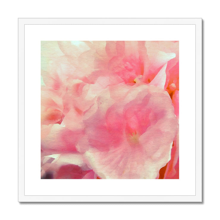 Hydrangea C1 Framed & Mounted Print